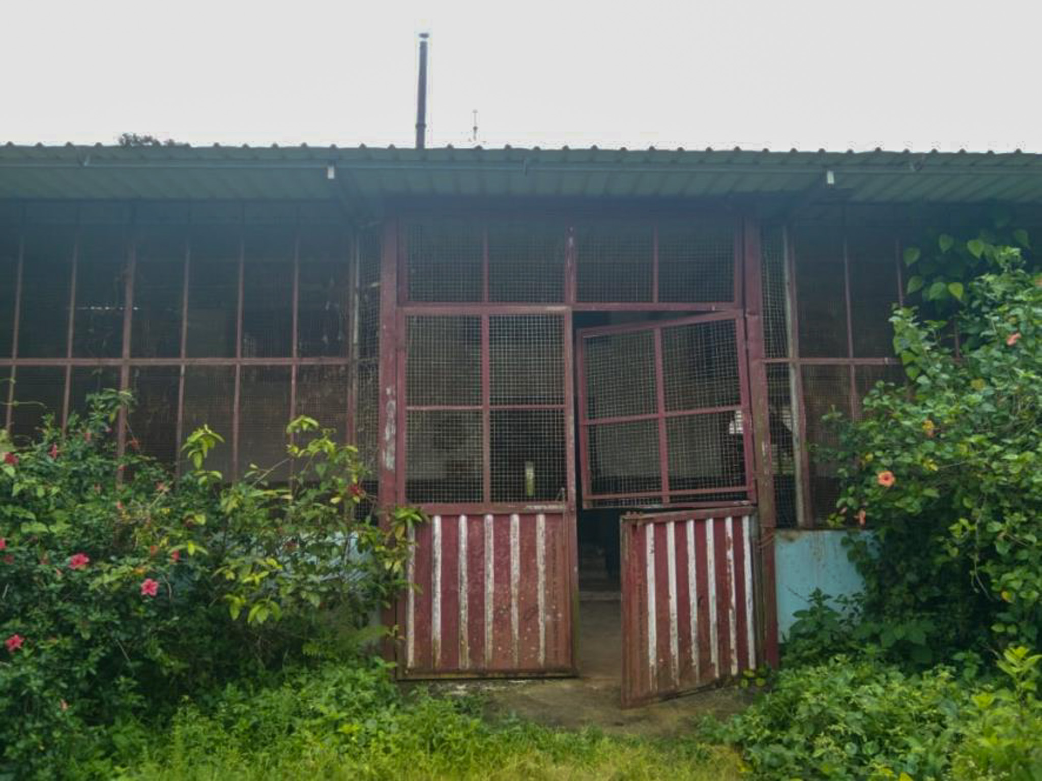 Industrial Plot with Factory Building for sale in MAVINAKOPPA Koteshwar — photo 18