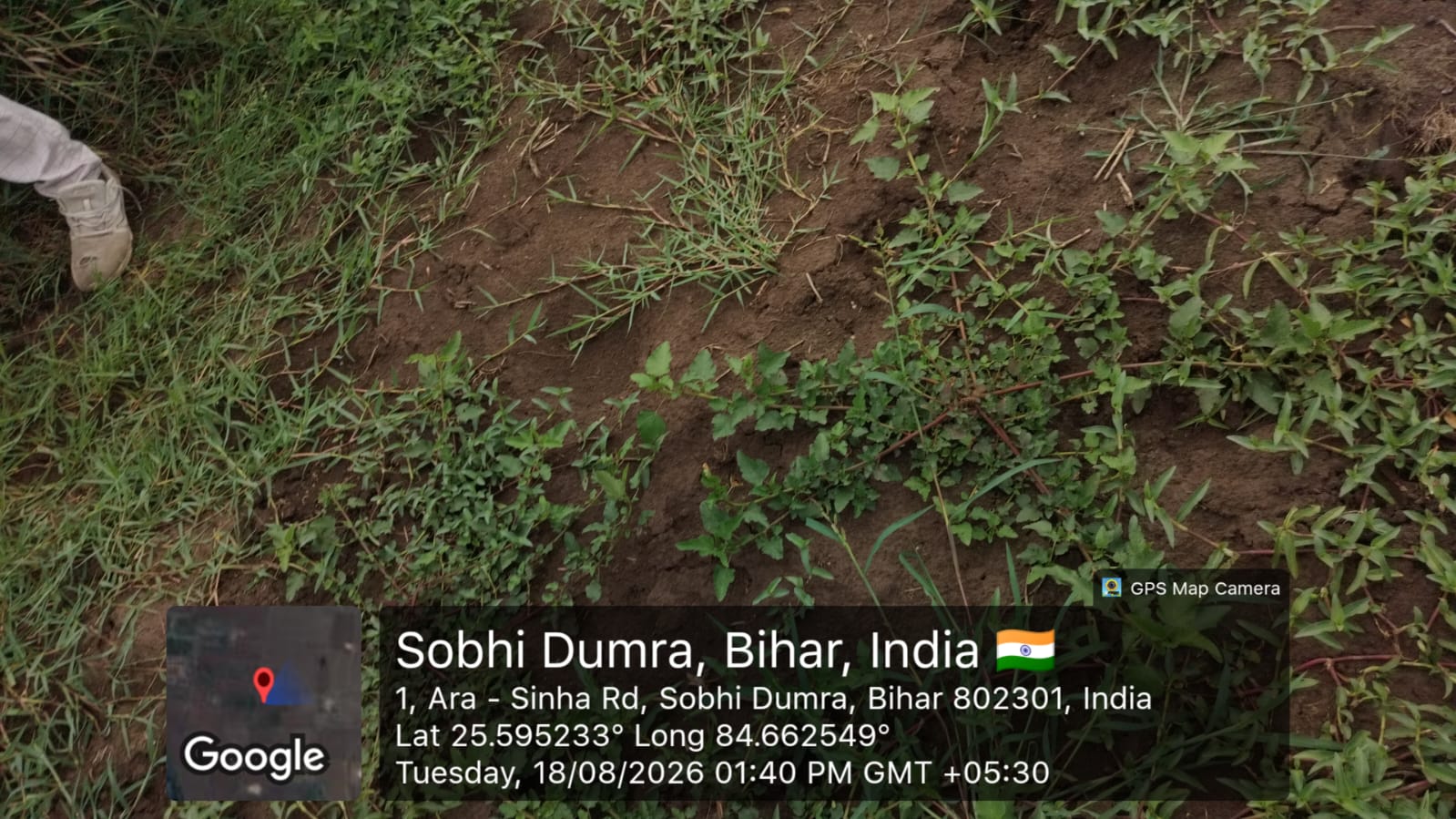 1429 square feet Plot for sale in Arrah — photo 1