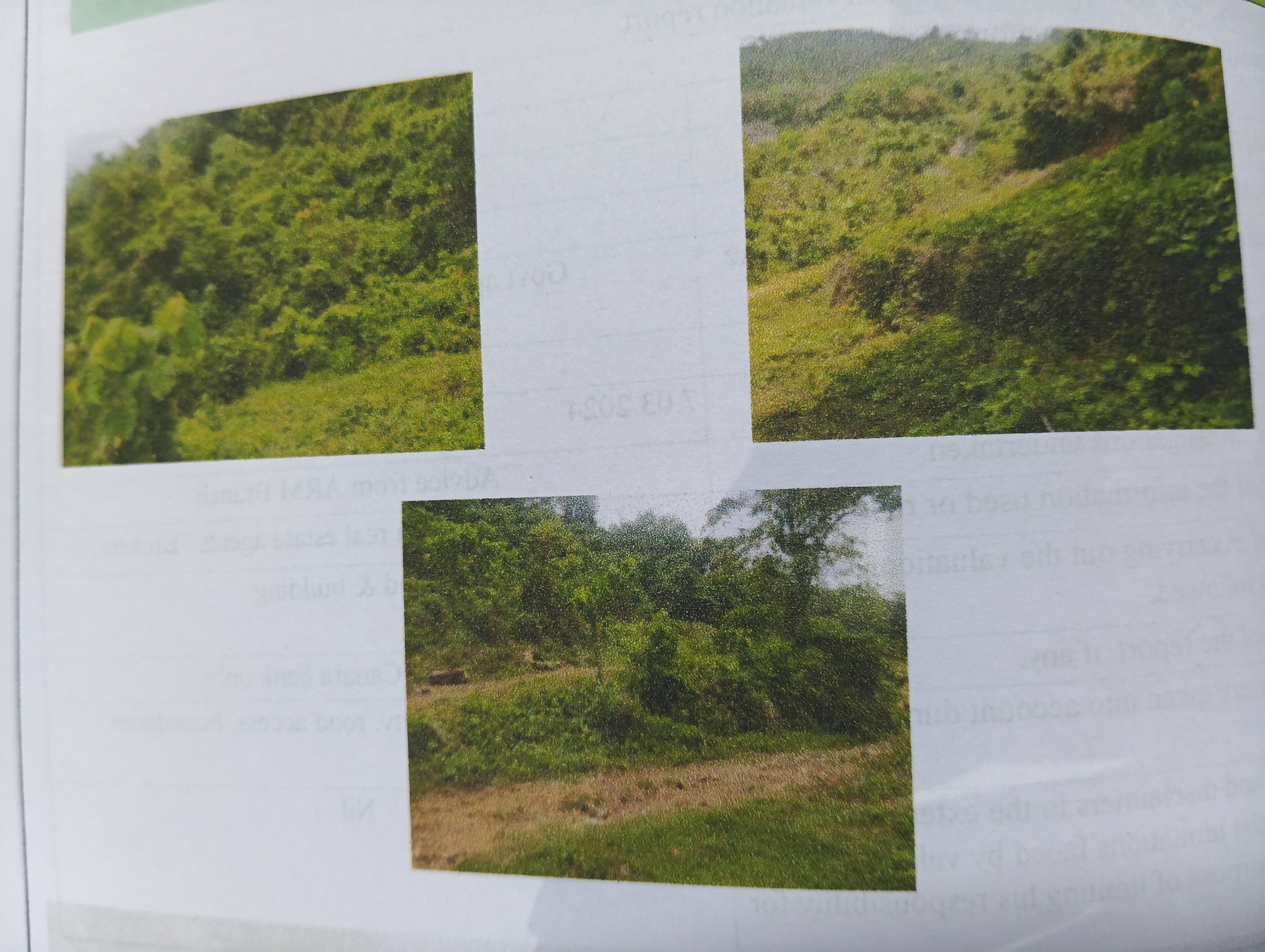 VACANT LAND for sale in Koottilangadi — photo 1