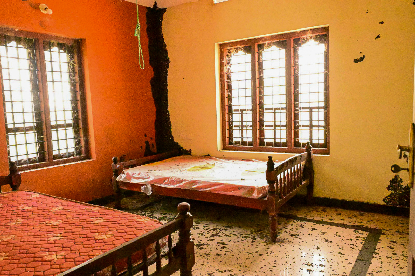 Individual House for sale in VELIYAM WEST Adichanalloor — photo 9