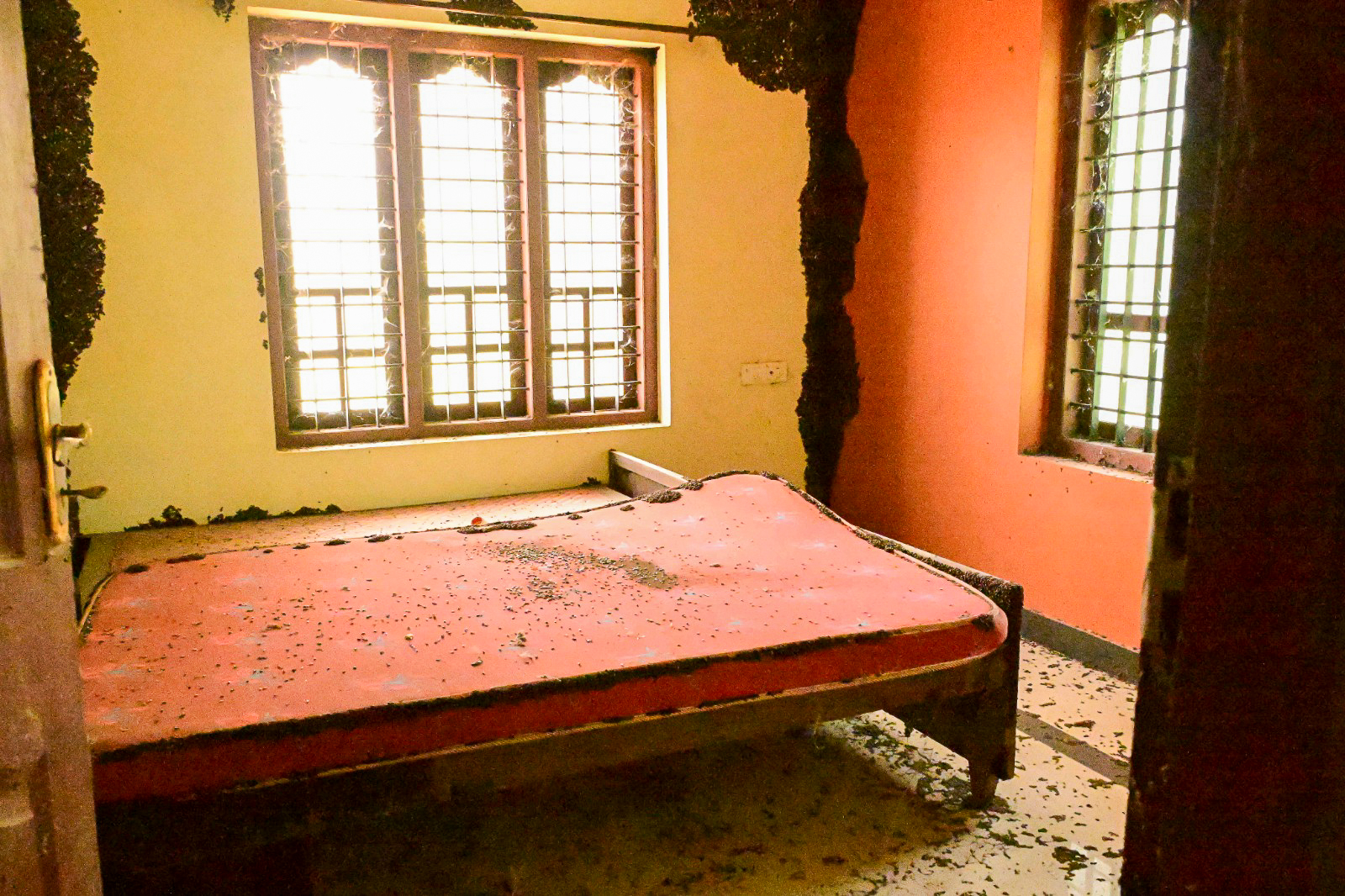 Individual House for sale in VELIYAM WEST Adichanalloor — photo 12
