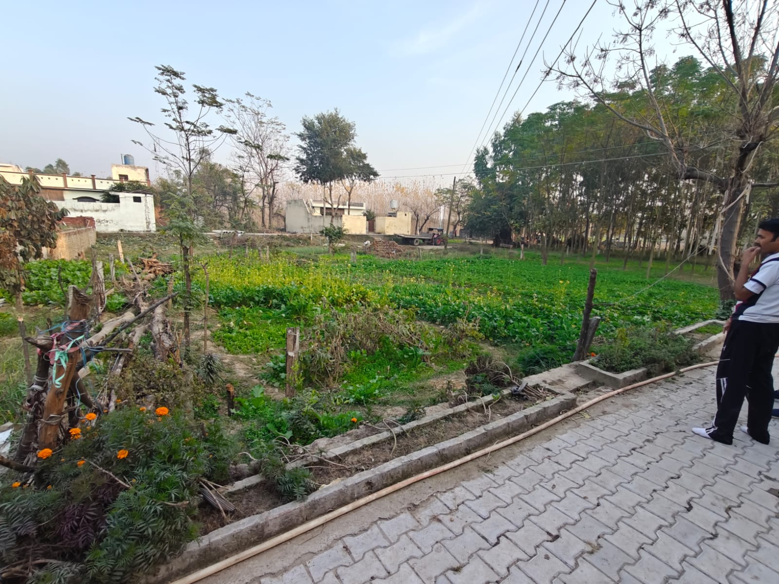 2070 square feet Plot for sale in VPO BODAL TEHSIL DASUYA DISTT. HOSHIARPUR. Dasuya — photo 1