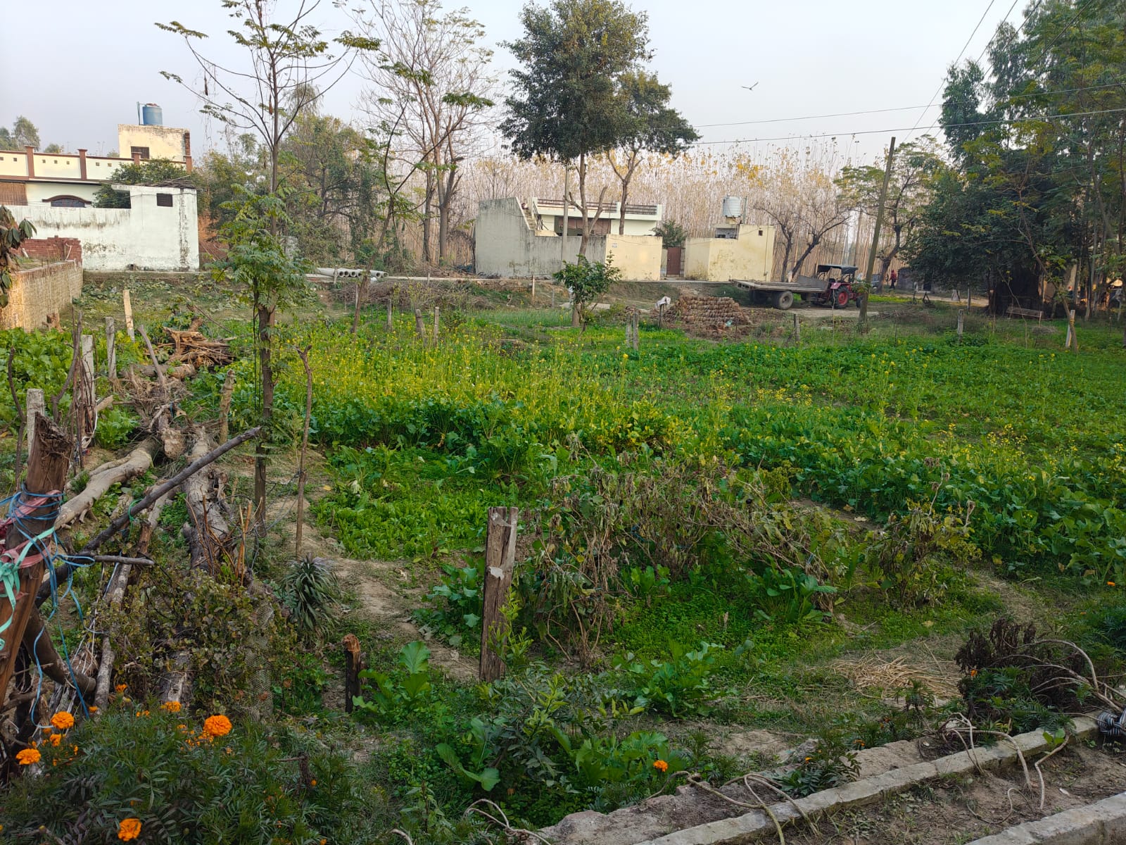 2070 square feet Plot for sale in VPO BODAL TEHSIL DASUYA DISTT. HOSHIARPUR. Dasuya — photo 2