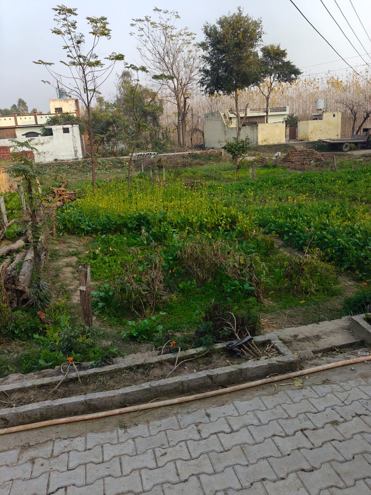 2070 square feet Plot for sale in VPO BODAL TEHSIL DASUYA DISTT. HOSHIARPUR. Dasuya — photo 3