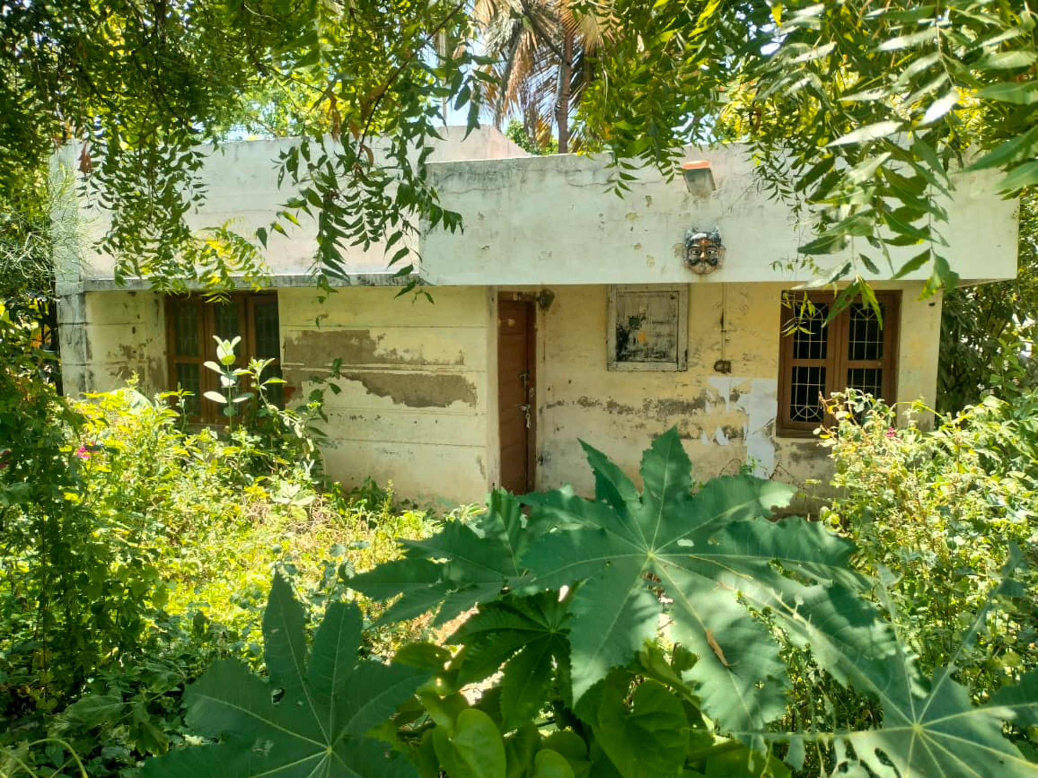 1 BHK Individual House for sale in INFO LINK SYSTEMS, SALEM Salem — photo 21