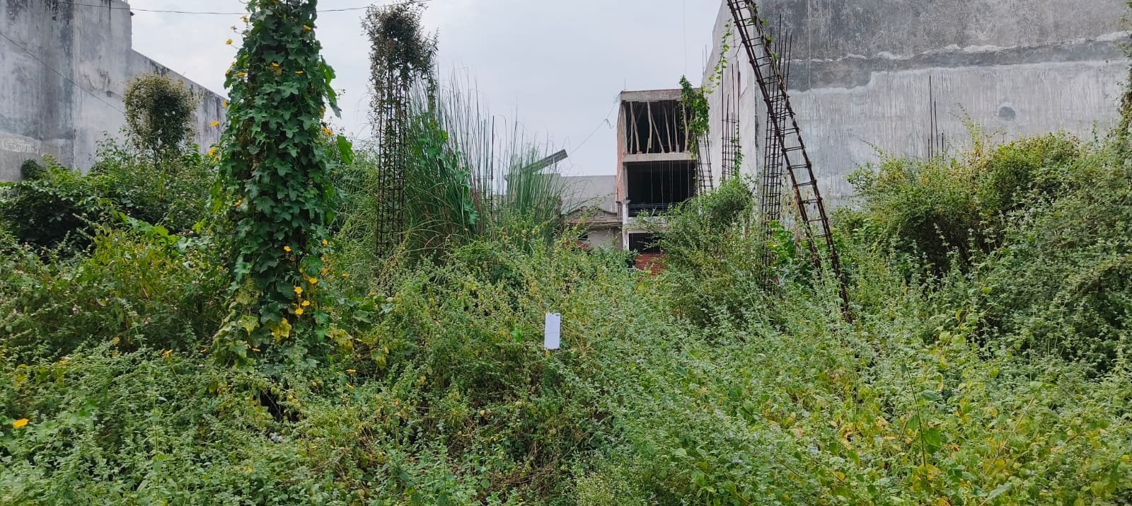 Plot for sale in Raebareli — photo 1