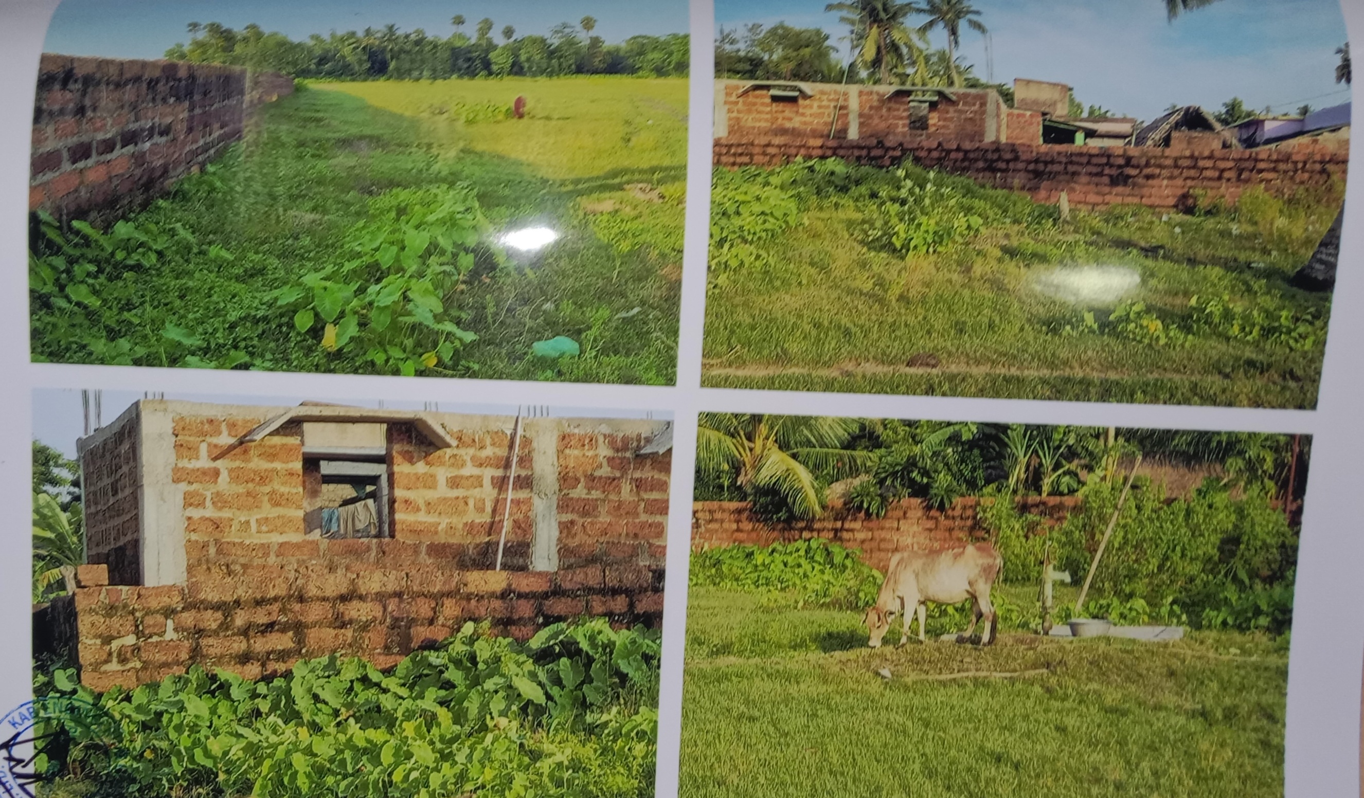 Plot for sale in Rural Pipili — photo 5