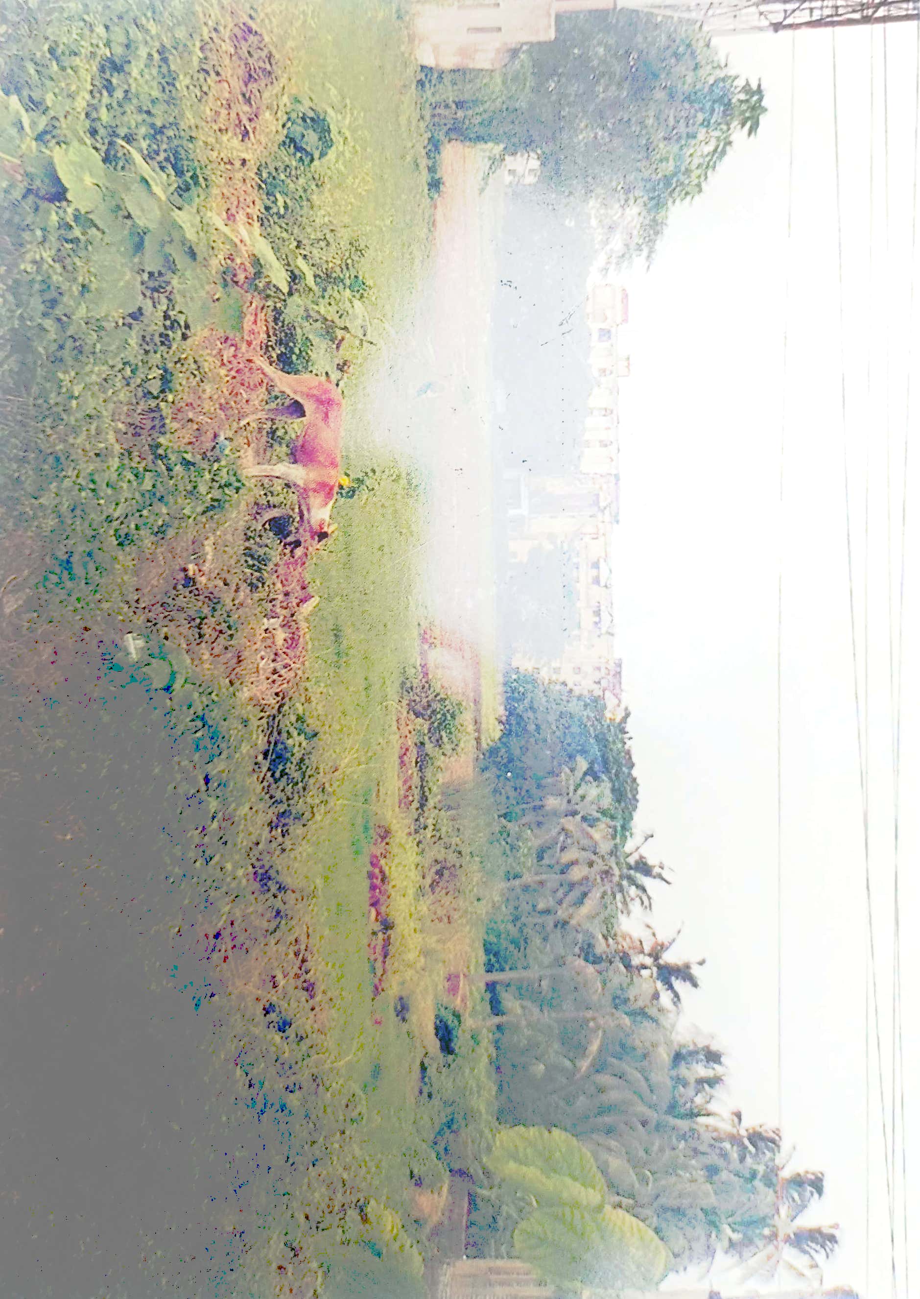 Plot for sale in jayra sashan Bhubaneswar — photo 3