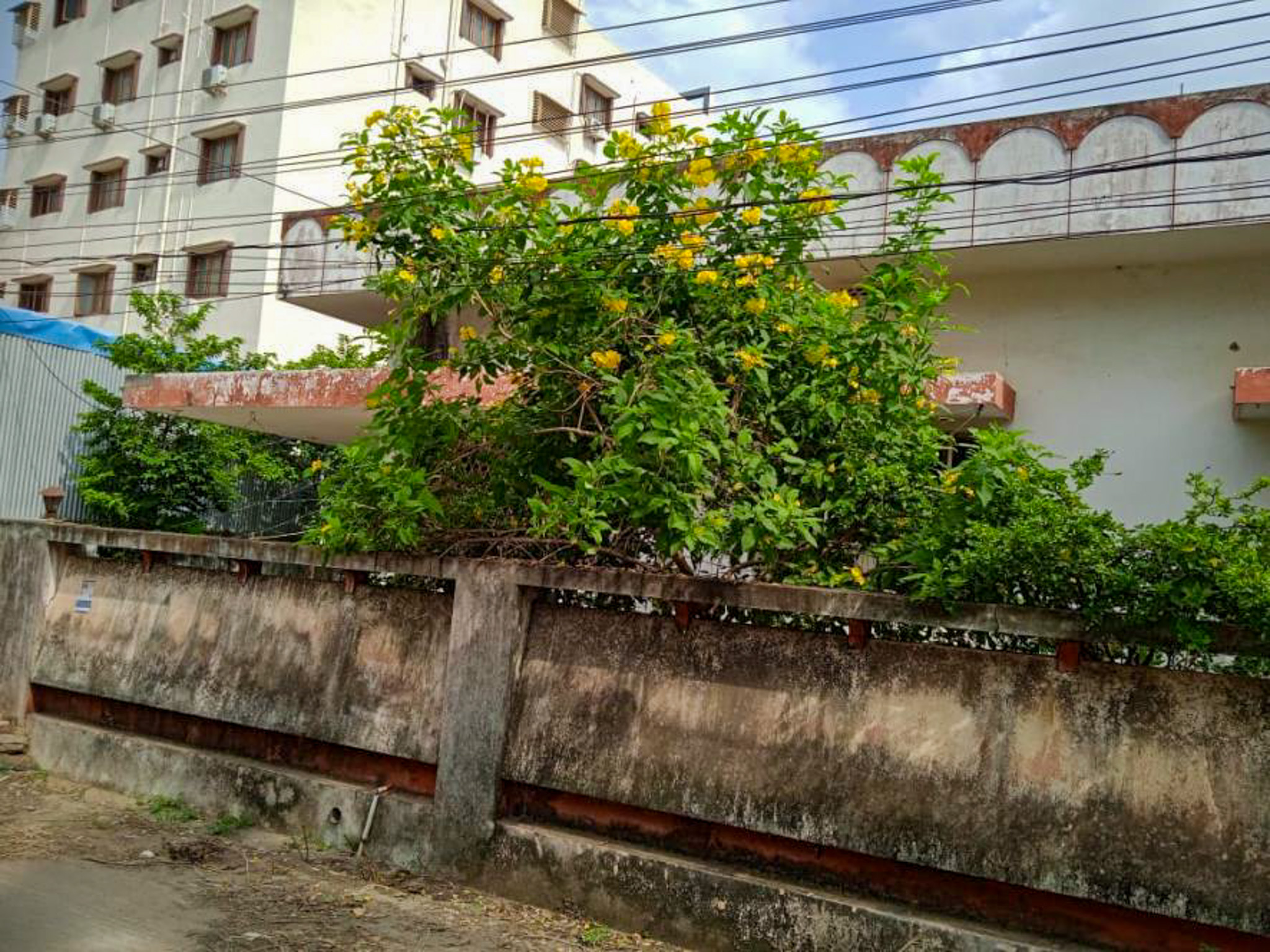 Individual House for sale in Sriramapuram, Bhimavaram Bhimavaram — photo 1