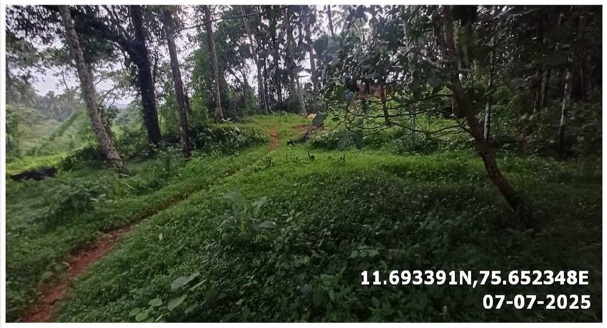 Land for sale in Chekkiad — photo 1