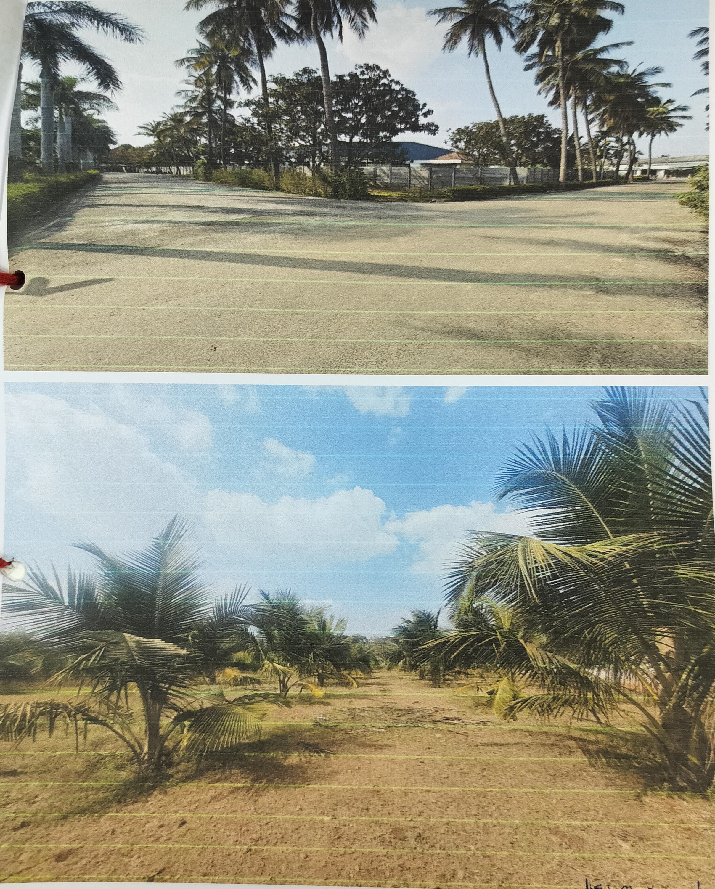 Industrial Shed for sale in K Chettipalayam — photo 15