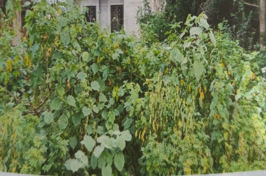 268 square meter Plot for sale in Dhule