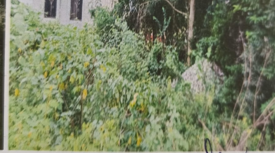 268 square meter Plot for sale in Dhule — photo 2