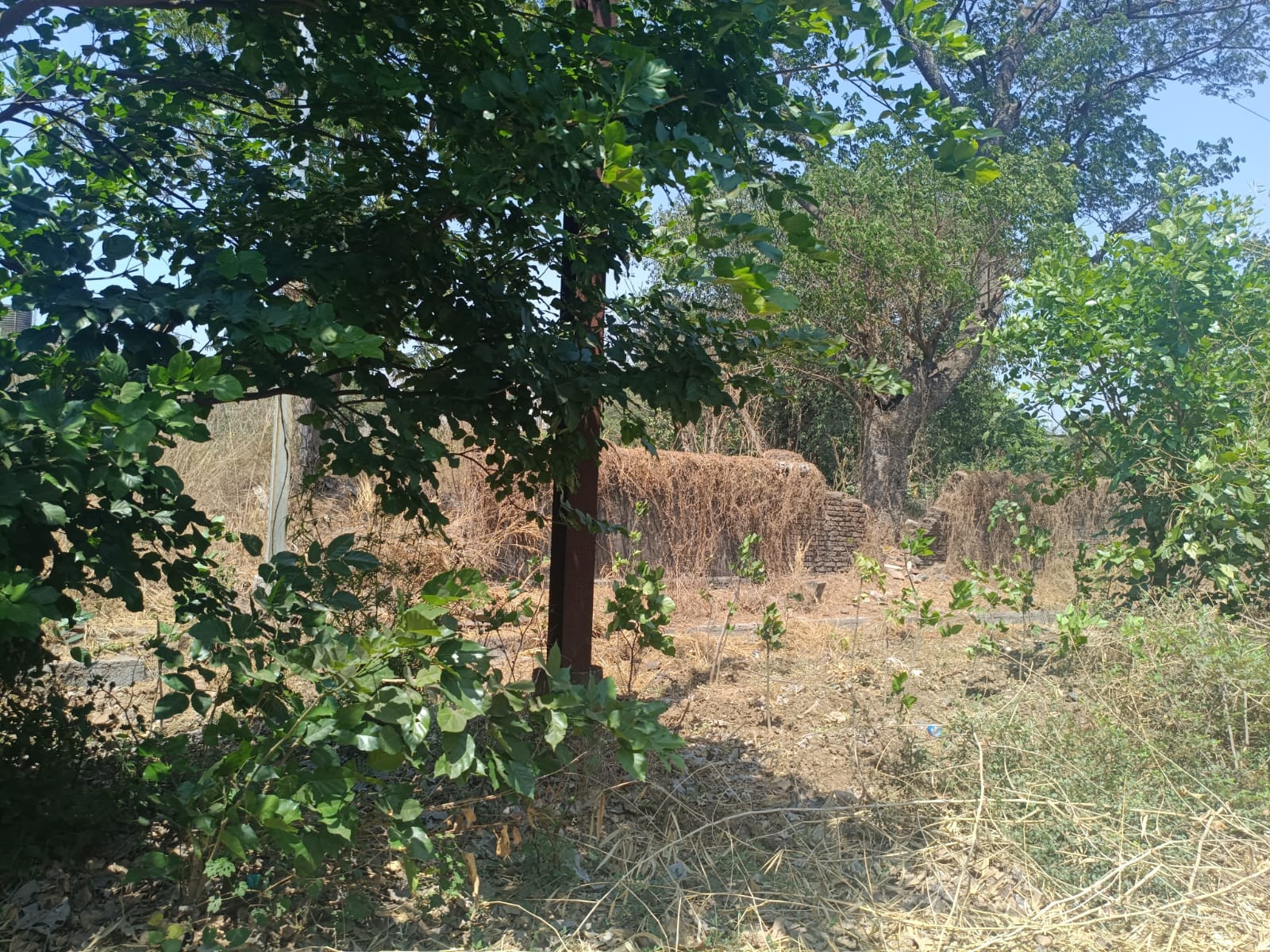 23614 square meter Industrial Plot for sale in Dhatau — photo 4