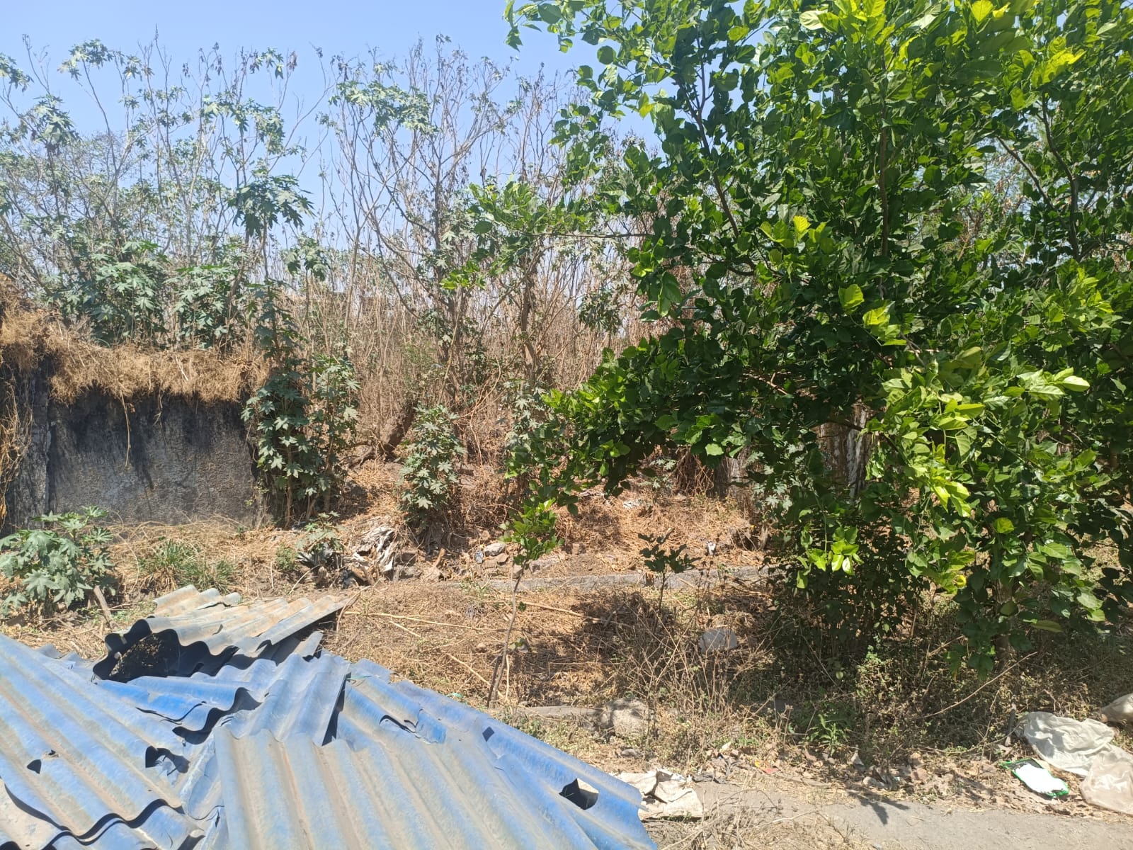 23614 square meter Industrial Plot for sale in Dhatau — photo 2