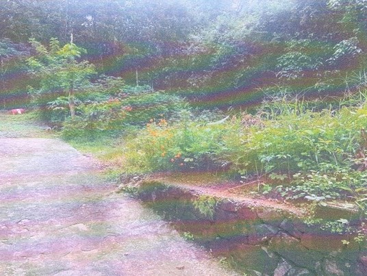 Plot for sale in Mundamuriyil house, ELIKKULAM VILLAGE Pala — photo 2