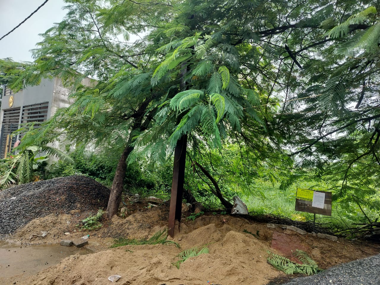 965 square feet Plot for sale in Village Mangliya Sadak Mangalya — photo 2