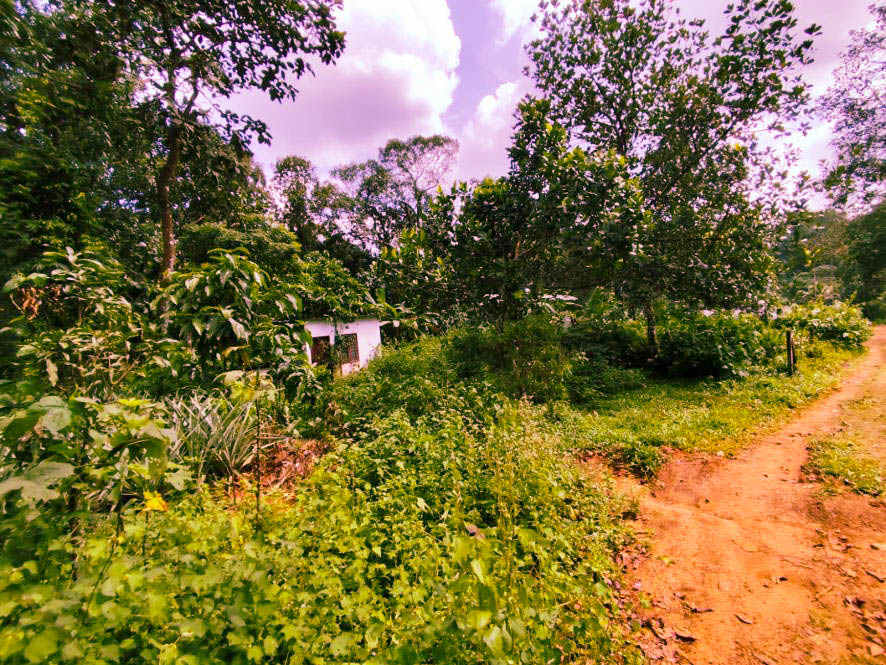 Individual House for sale in Athirampuzha — photo 2