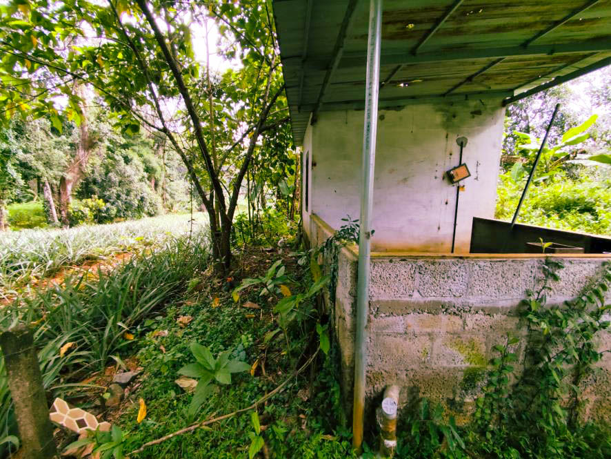 Individual House for sale in Athirampuzha — photo 3