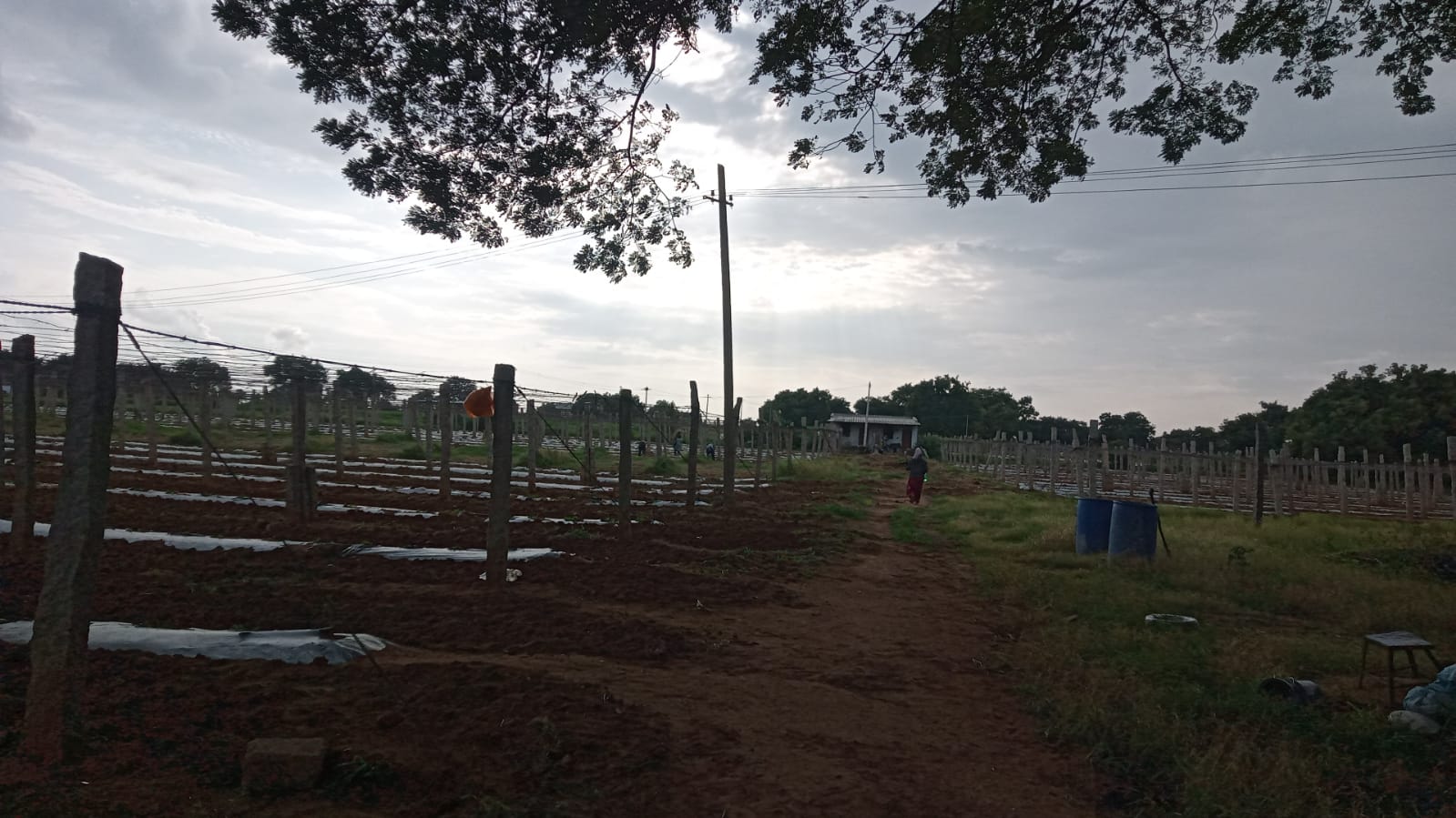 Plot for sale in Yadaram Medchal Hyderabad — photo 3