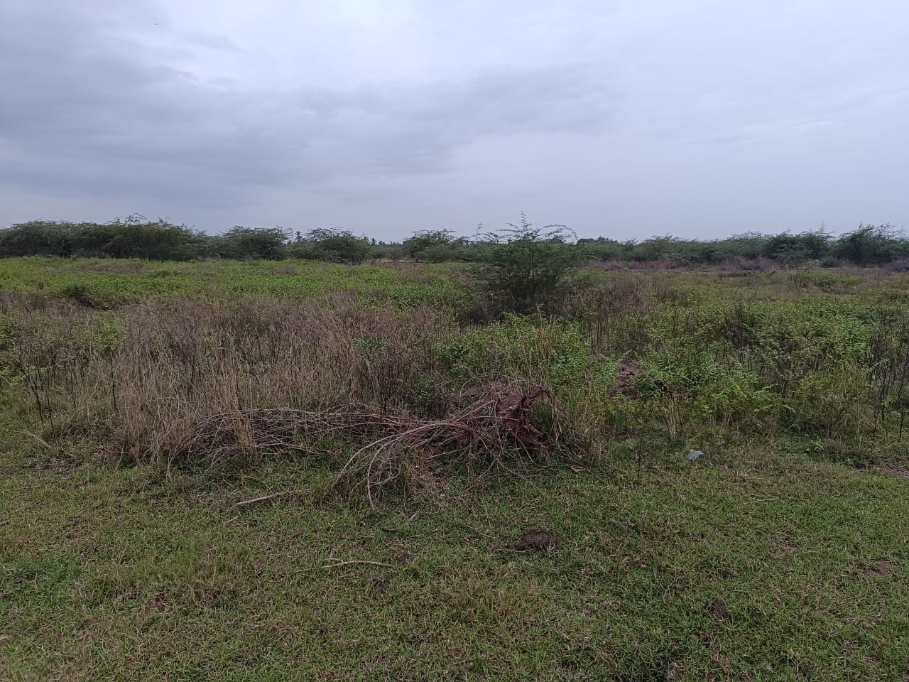 Godowns for sale in Kilpudupakkam — photo 2