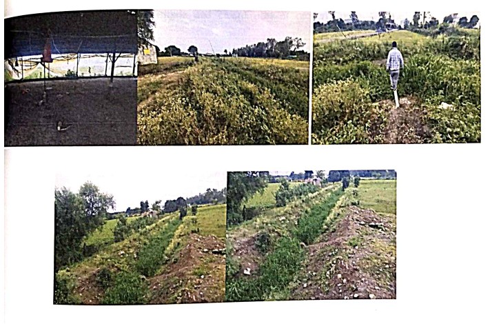 11250 square feet Plot for sale in NOOR MANDI, SHAJAPUR Shajapur