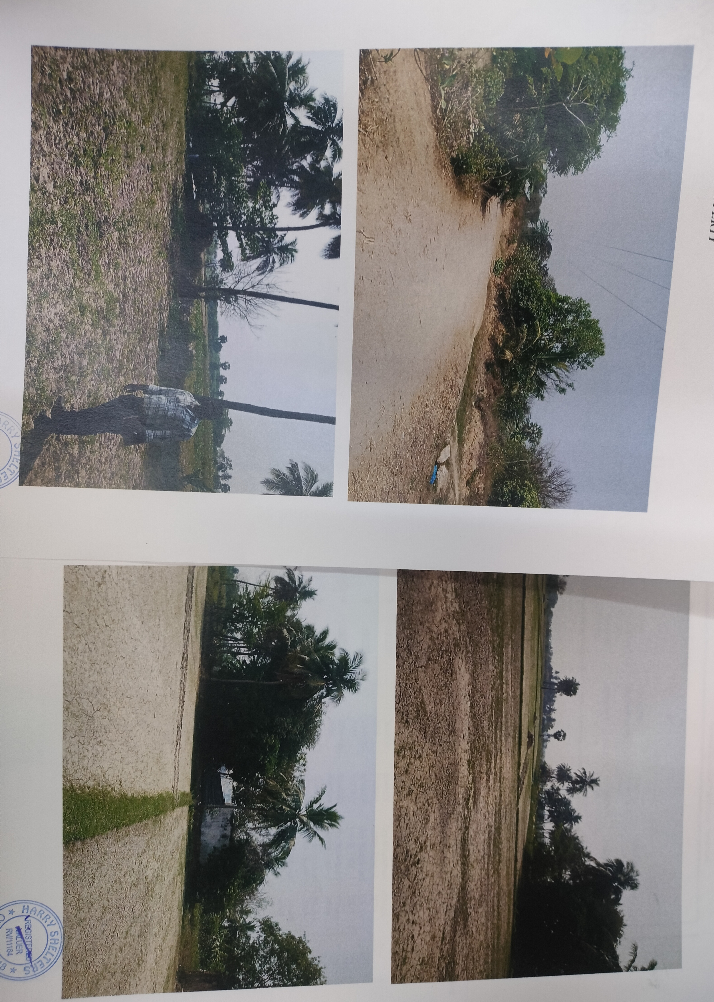 Plot for sale in Pachchal — photo 1
