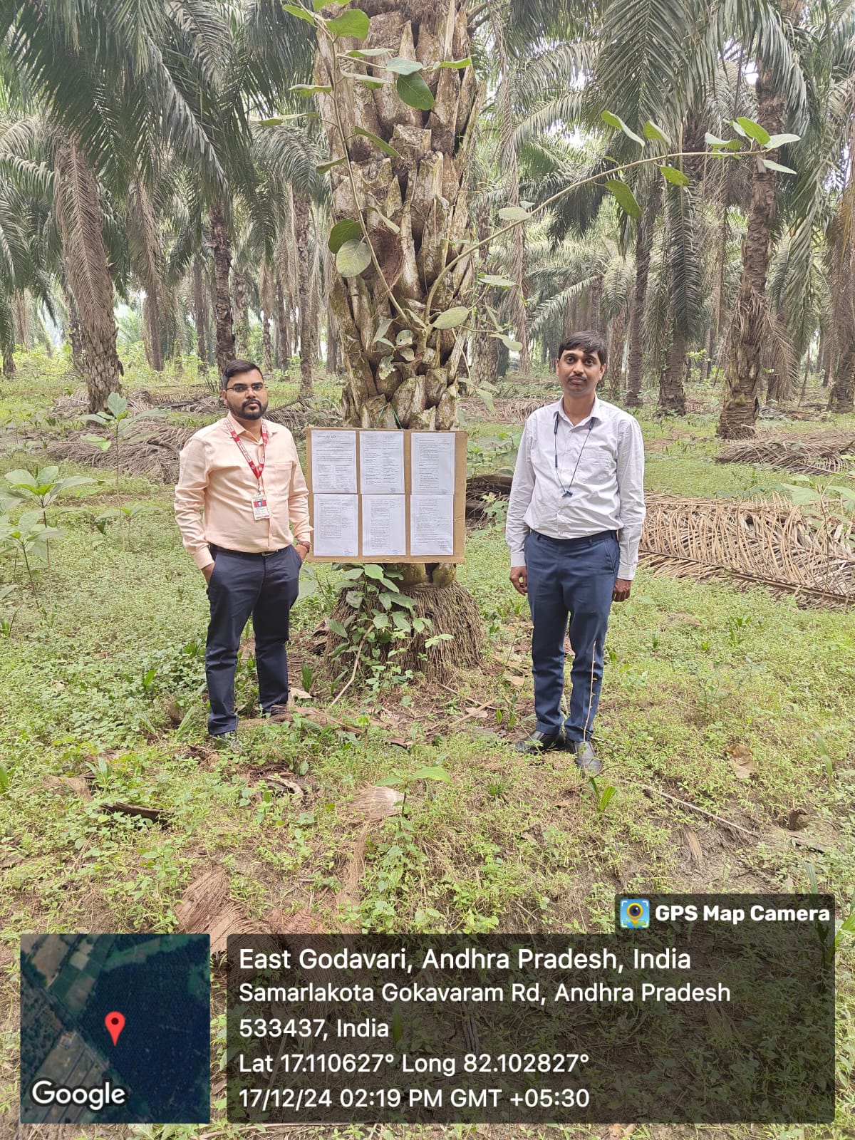 Plot for sale in Peddapuram — photo 1