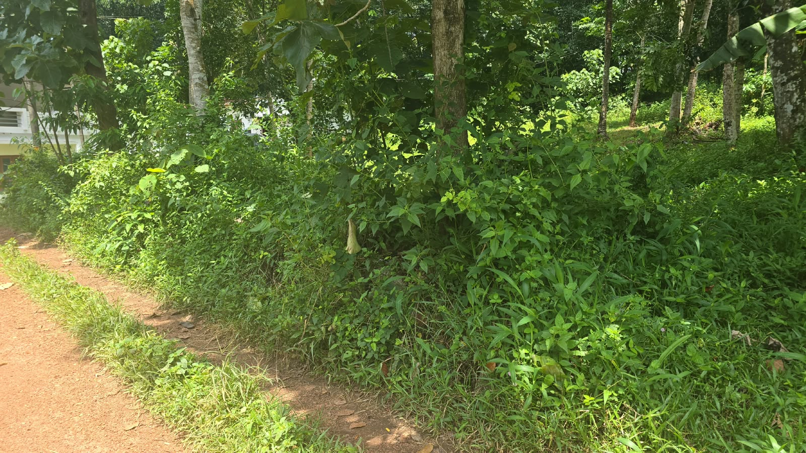 Plot for sale in Thiruvananthapuram — photo 3