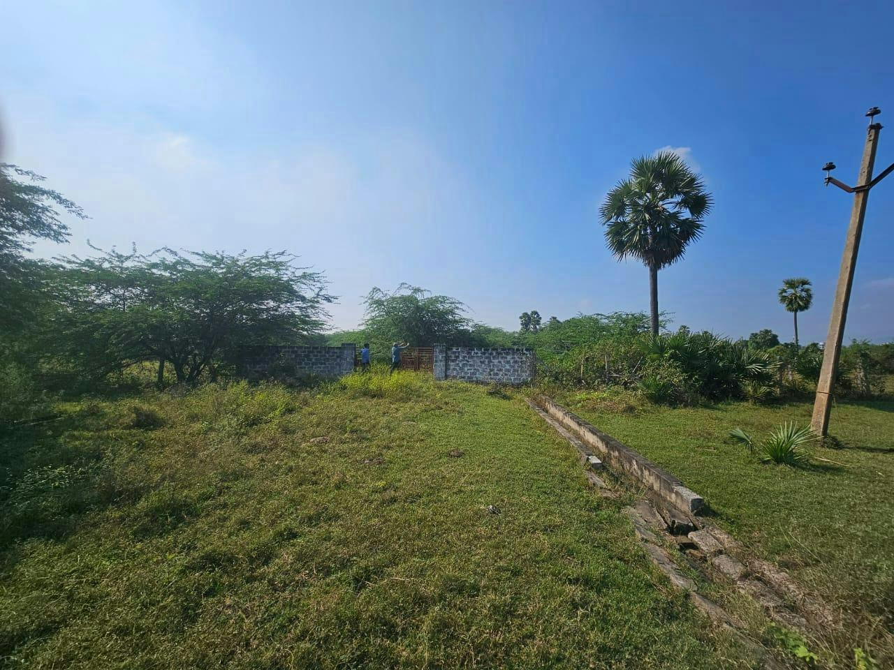 OPEN LAND for sale in Pothuru Guntur — photo 1