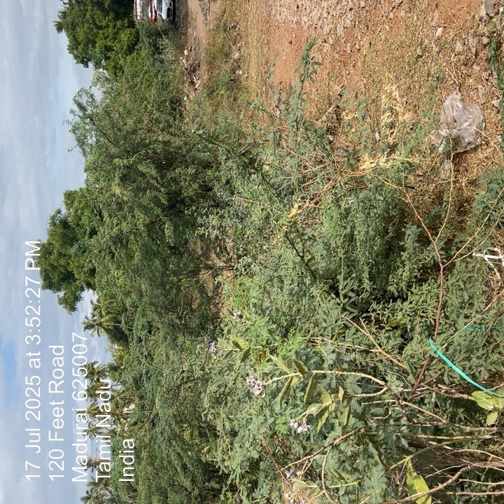 2601 square feet Plot for sale in Madurai — photo 1