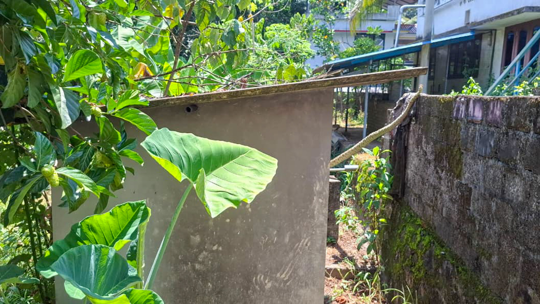 Individual House for sale in Kottarakkara — photo 4