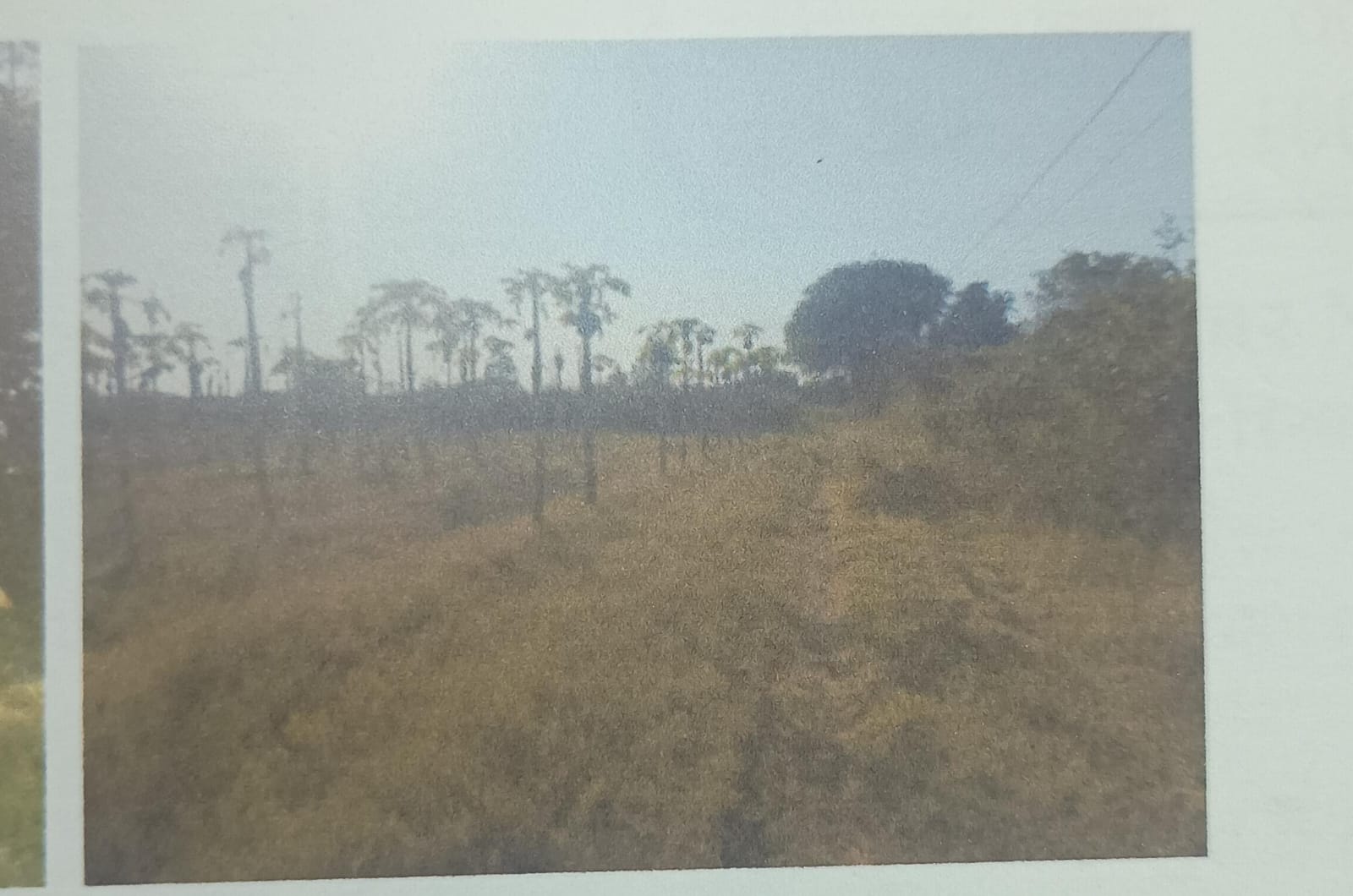 Plot for sale in Burhanpur Burhanpur — photo 2