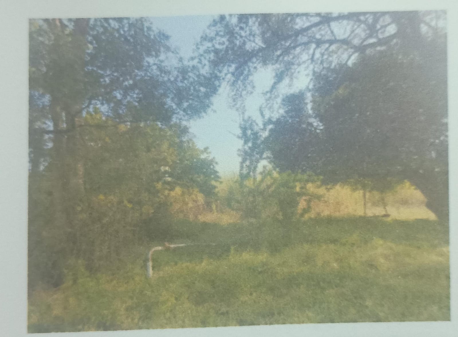 Plot for sale in Burhanpur Burhanpur — photo 3