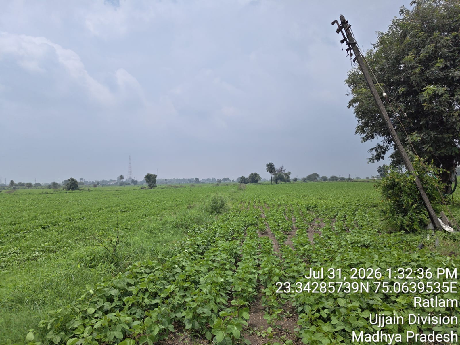 28000 square meter Plot for sale in Ratlam