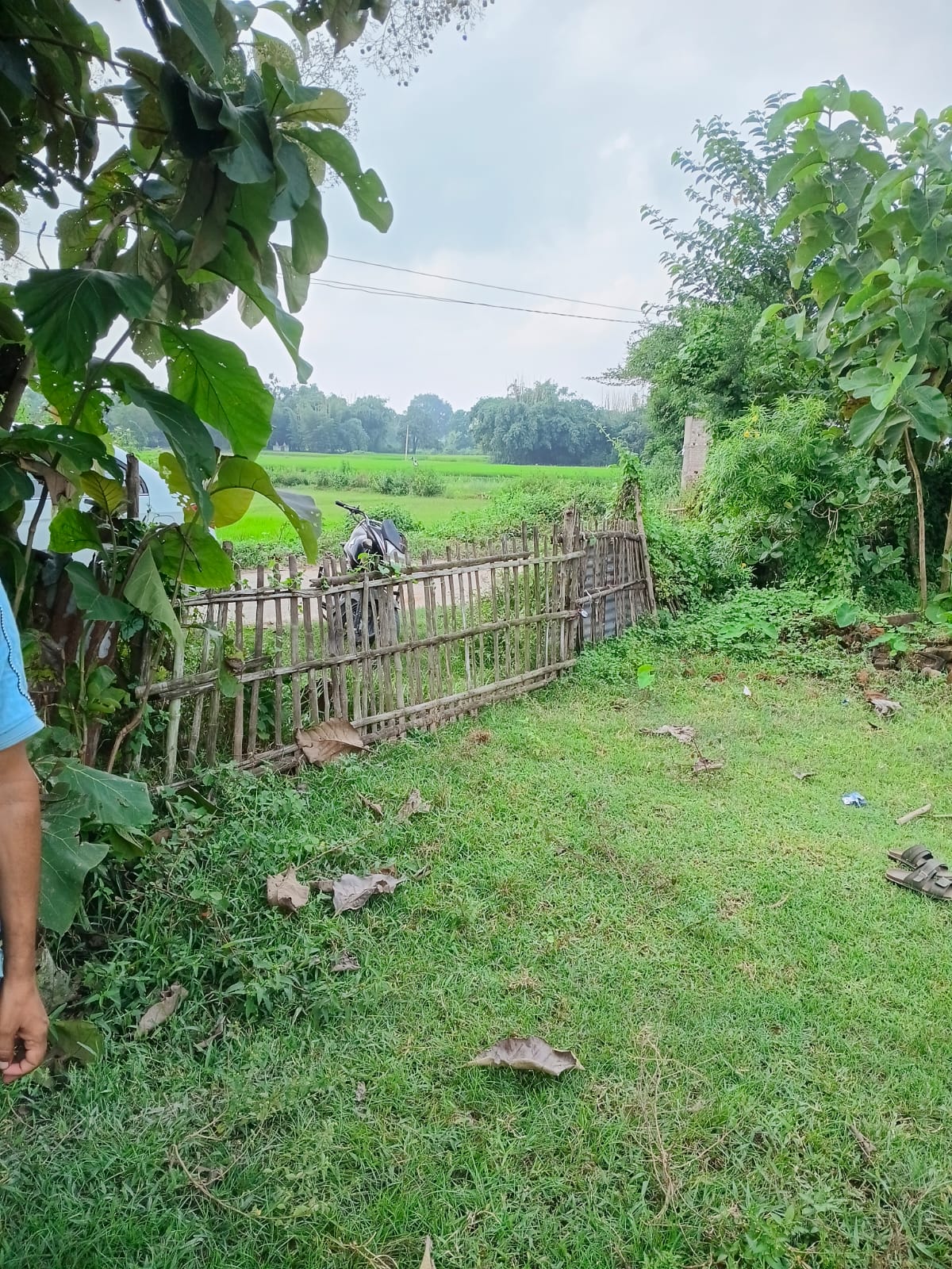 65242 square feet Plot for sale in Saharsa — photo 1