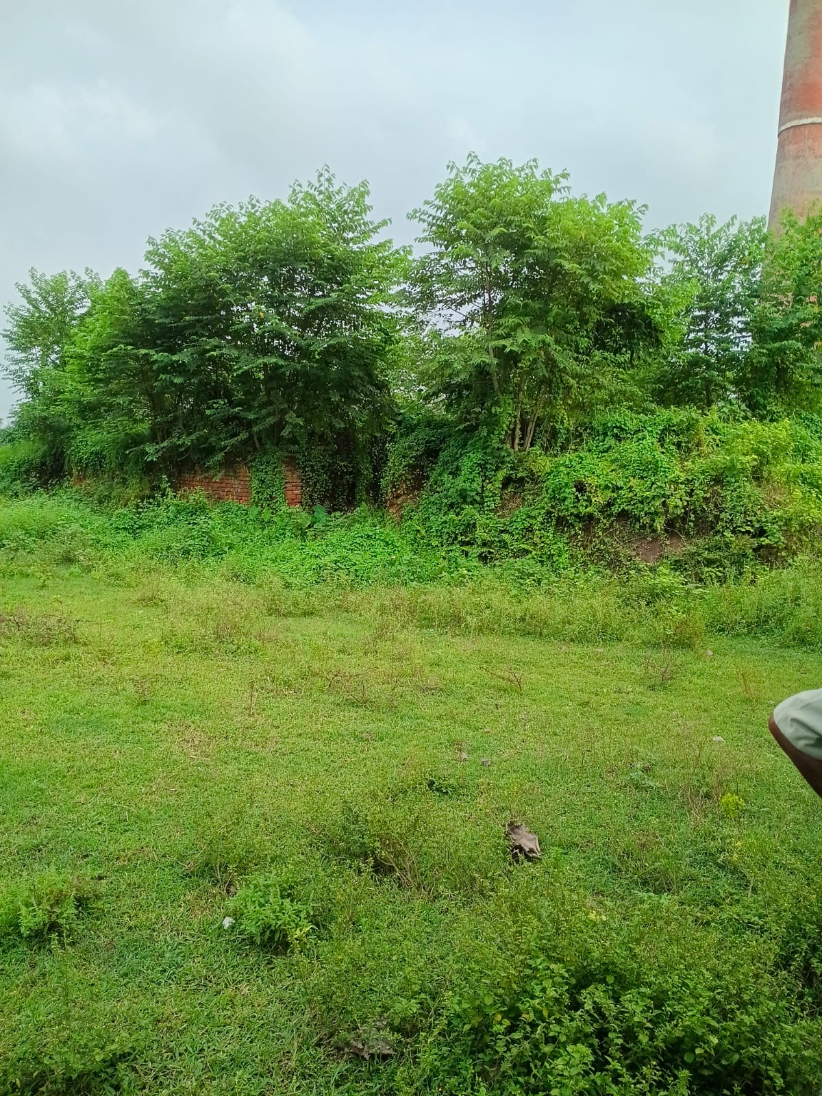 65242 square feet Plot for sale in Saharsa — photo 2