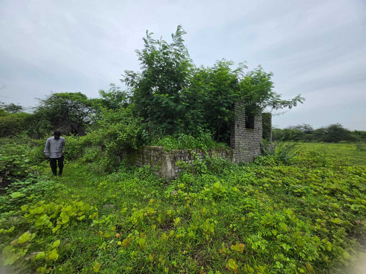 1672 square feet Plot for sale in CHANDRAPUR Chandrapur — photo 1