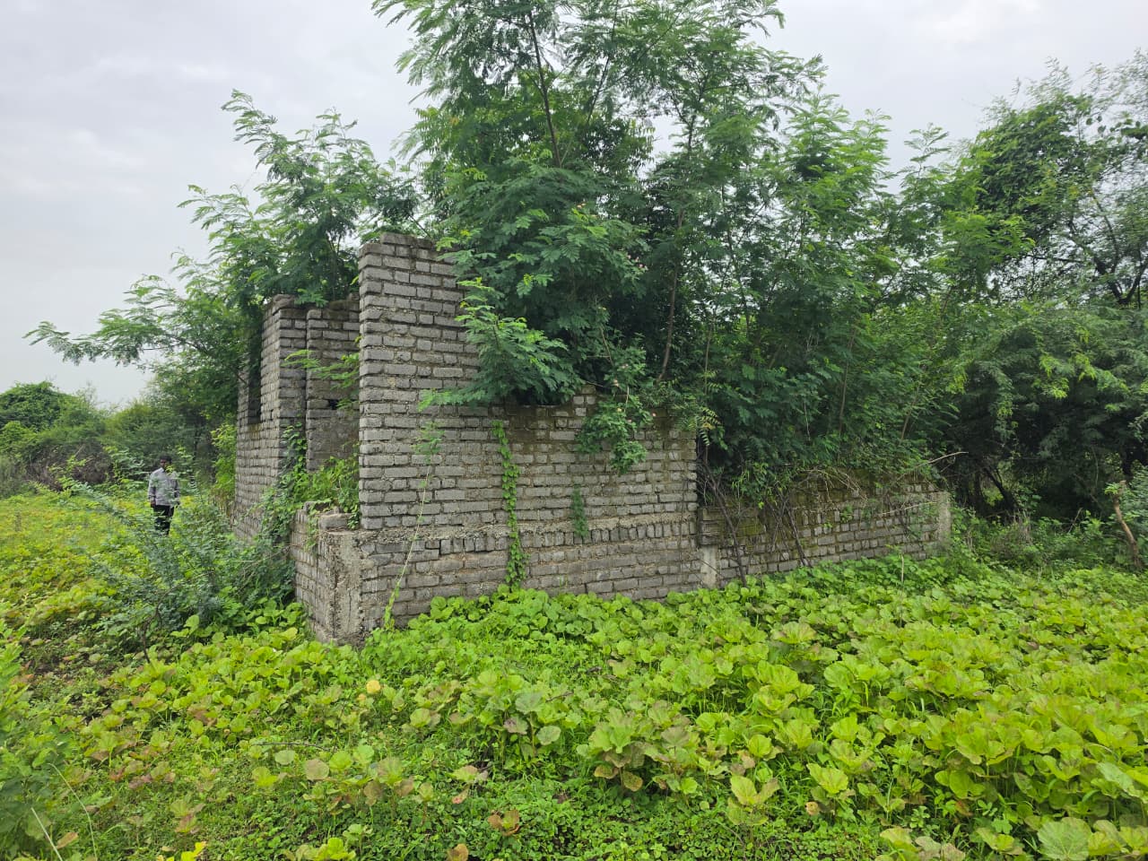 1672 square feet Plot for sale in CHANDRAPUR Chandrapur — photo 4