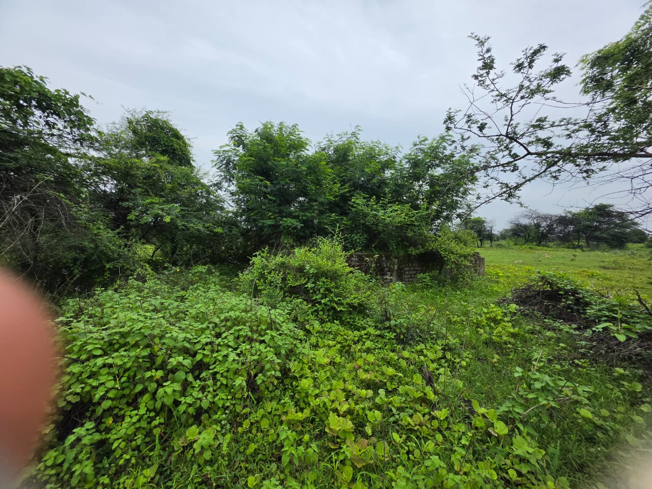 1672 square feet Plot for sale in CHANDRAPUR Chandrapur — photo 5