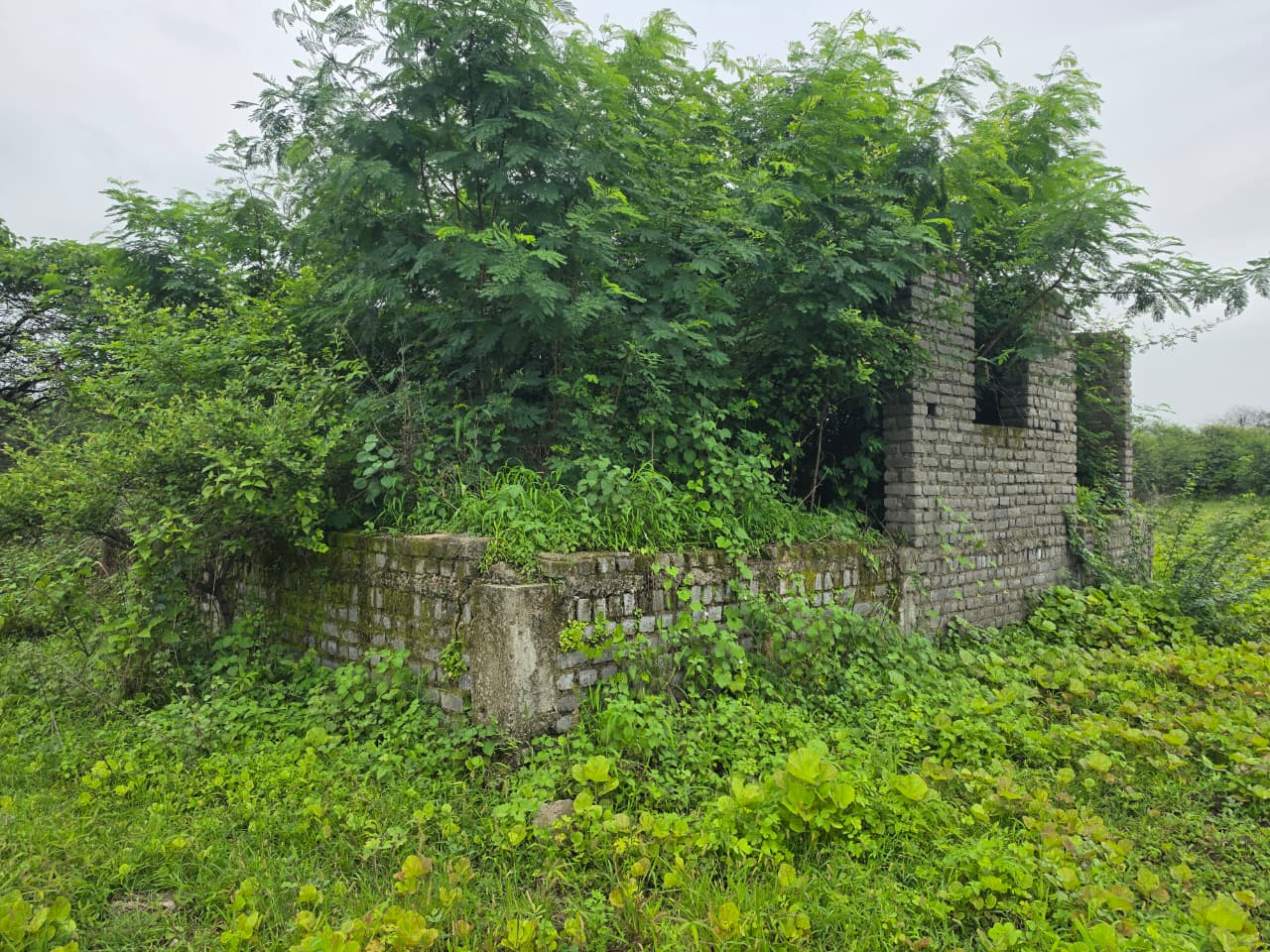 1672 square feet Plot for sale in CHANDRAPUR Chandrapur — photo 7