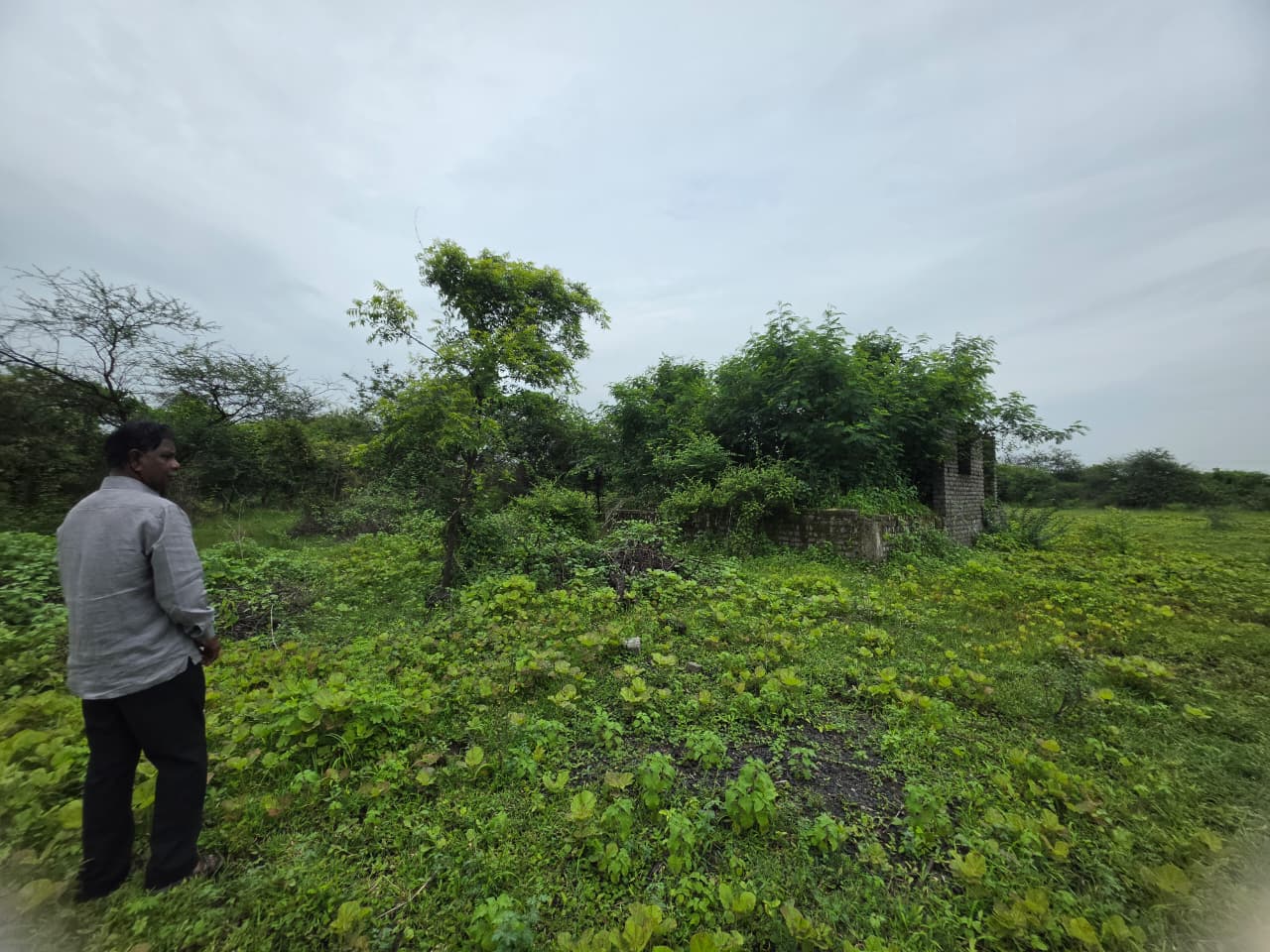 1672 square feet Plot for sale in CHANDRAPUR Chandrapur — photo 10