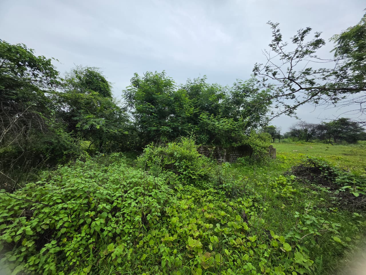 1672 square feet Plot for sale in CHANDRAPUR Chandrapur — photo 11