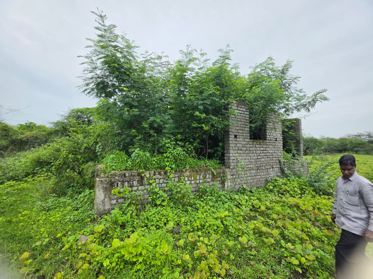 1672 square feet Plot for sale in CHANDRAPUR Chandrapur — photo 12