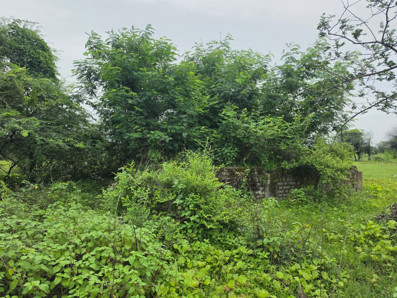 1672 square feet Plot for sale in CHANDRAPUR Chandrapur — photo 15