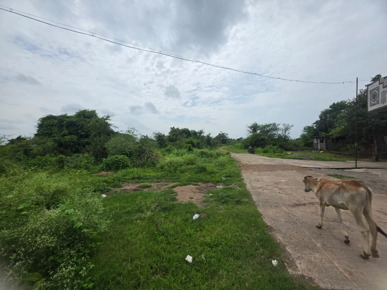 1614 square feet Plot for sale in KORPANA Ballarpur — photo 1