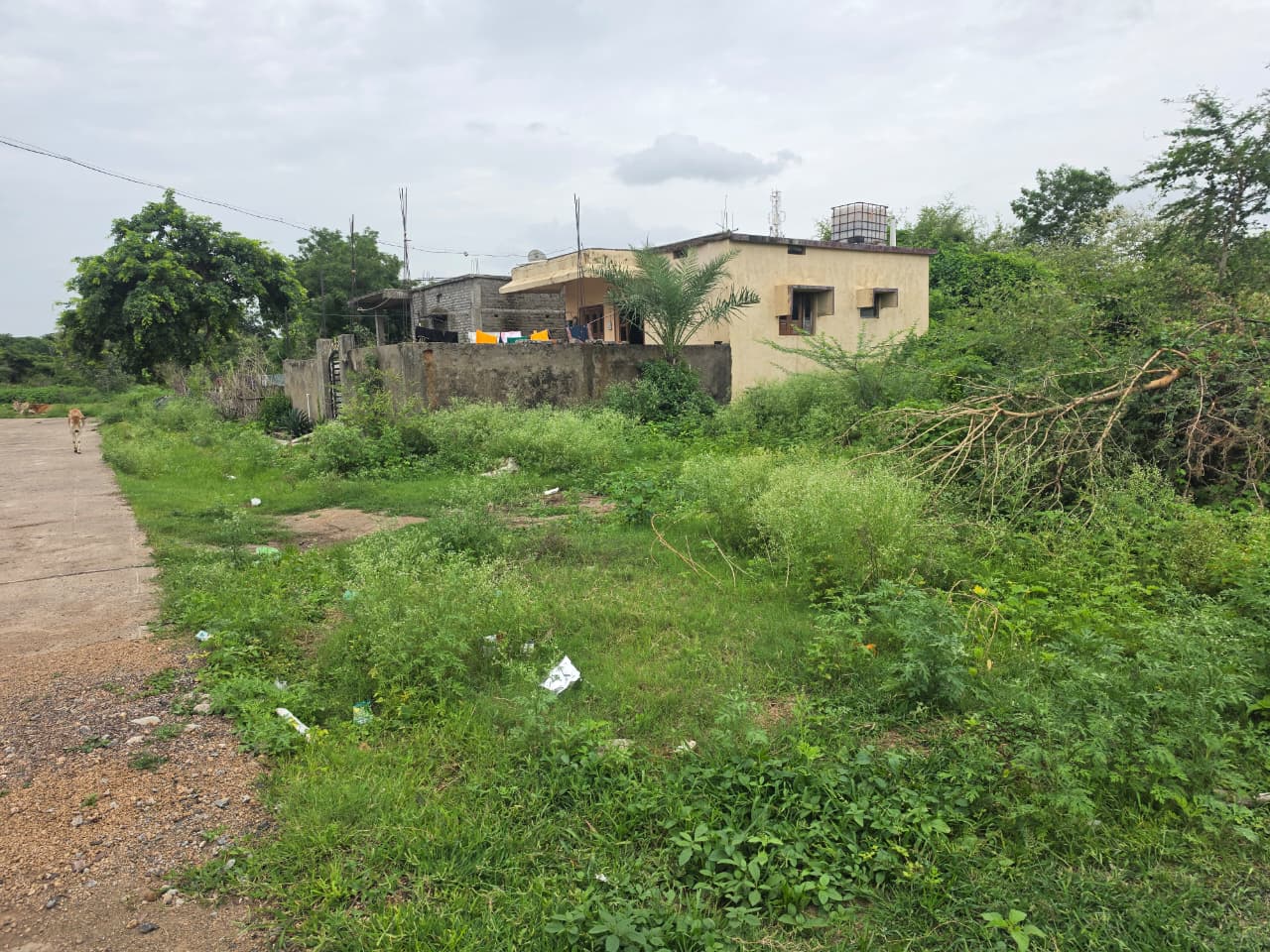 1614 square feet Plot for sale in KORPANA Ballarpur — photo 5