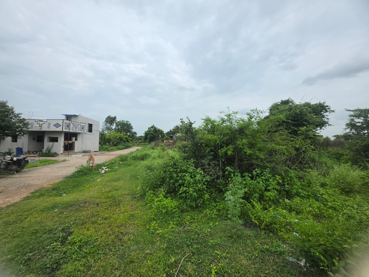 1614 square feet Plot for sale in KORPANA Ballarpur — photo 6
