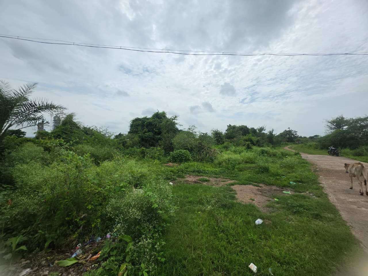 1614 square feet Plot for sale in KORPANA Ballarpur — photo 8