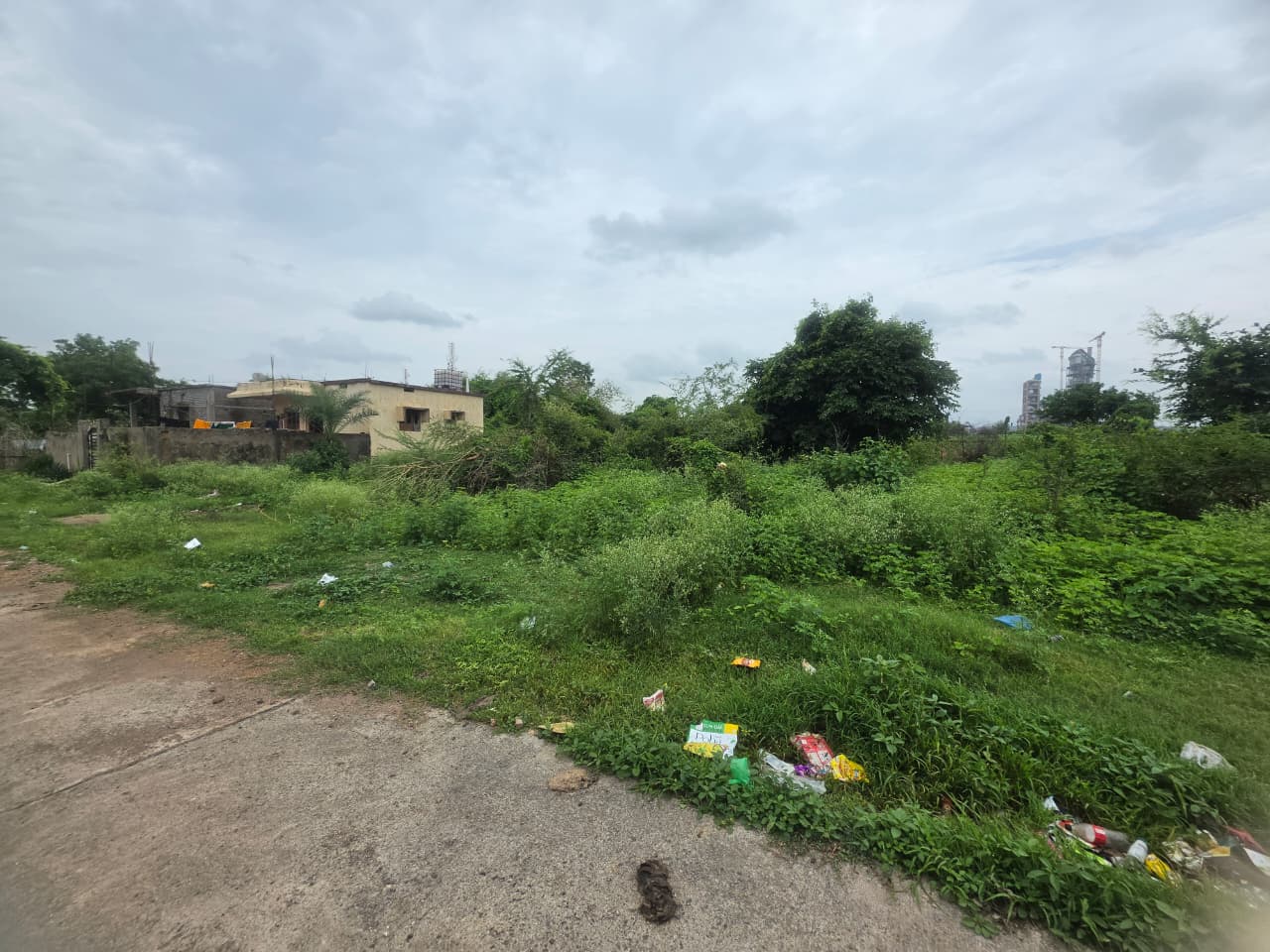 1614 square feet Plot for sale in KORPANA Ballarpur — photo 12